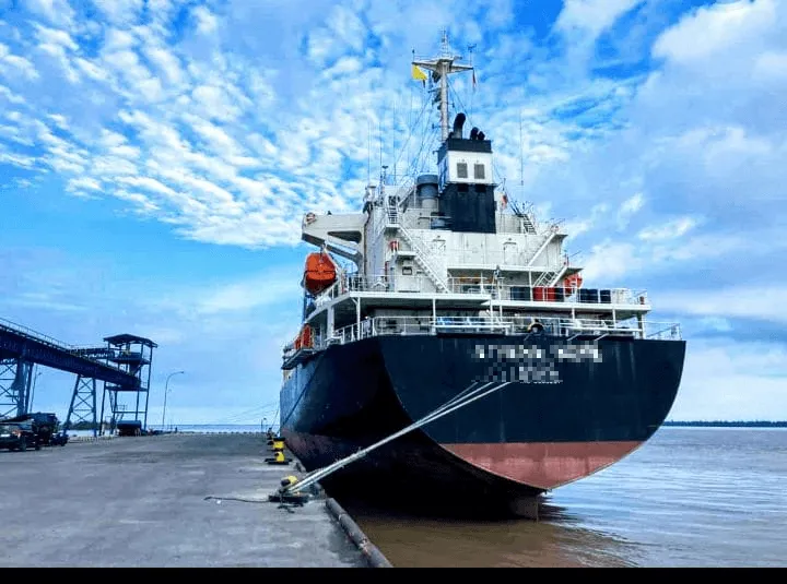 2024 December PKS export to Japan